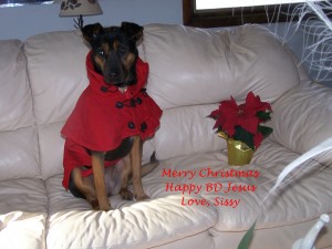 Merry Christmas from my dog Sissy!